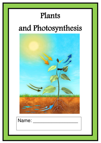 PLANTS AND PHOTOSYNTHESIS