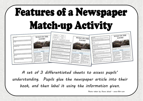 Features of a Newspaper Match-up Activity
