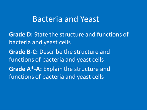 GCSE Bacteria and Yeast