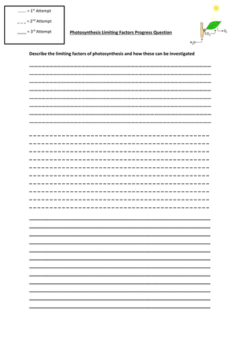 GCSE Limiting Factors