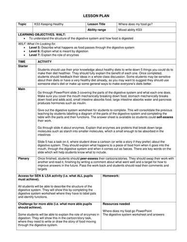 KS3 Where does my food go (The Digestive System)