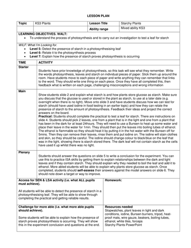 KS3 Starchy Plants | Teaching Resources