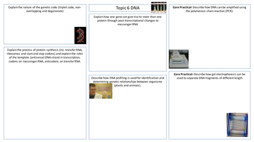 SNAB A2 Biology Immunity, Infection and Forensics Revision Sheets/Posters