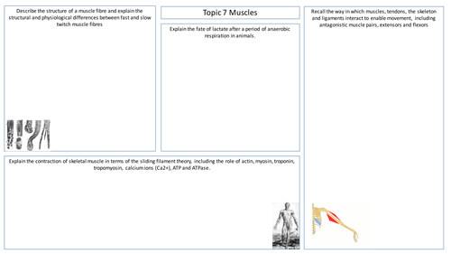 SNAB A2 Run for your Life Revision Sheets/Posters