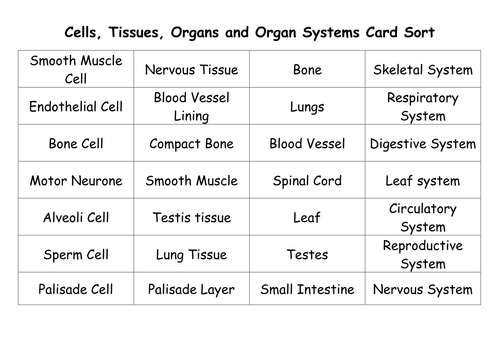SNAB AS Biology Cellular Organisation