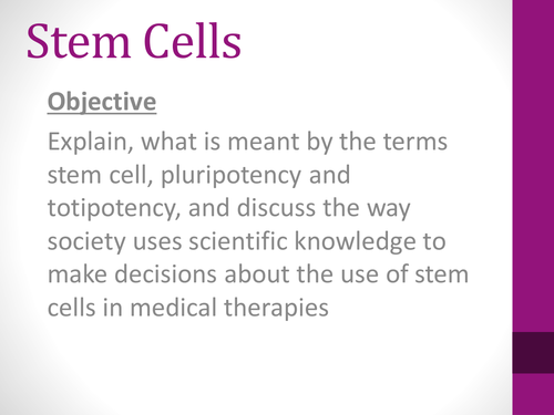 SNAB AS Biology Stem Cells
