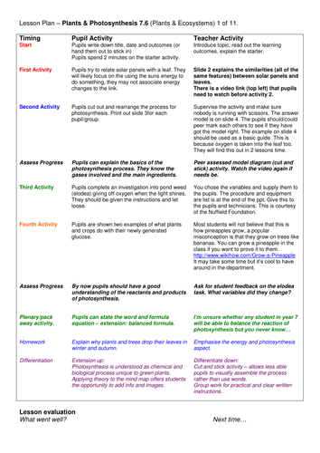 Year 7: Plants & Food (Plants & Ecosystems 7.6)