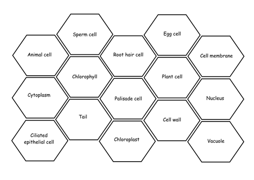 Hexagon Pack for Fertilisation, Cells, and Nutrition