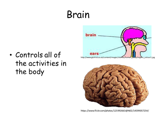 7.2 Cells Scheme of Work 