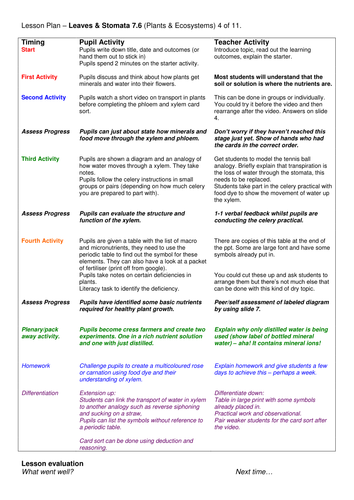 Year 7: Water & Minerals in Plants  (Plants & Ecosystems 7.6)