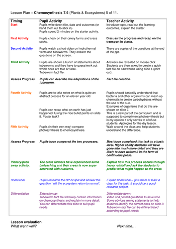 Year 7: Chemosynthesis (Plants & Ecosystems 7.6)