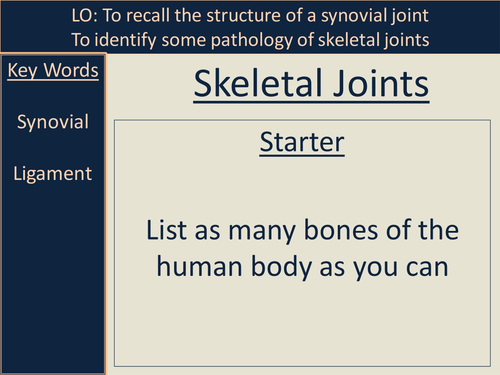 Skeletal Joints