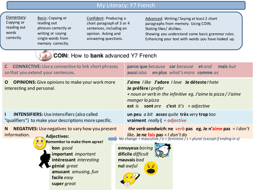 KS3 and 4 French Literacy Mat