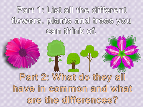 Imagine a New Tree, Flower or Plant. Creative Writing or Big Writing VCOP + Audience Purpose Genre 