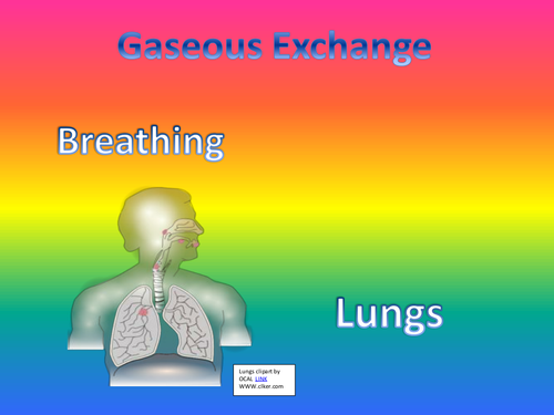 Breathing OCR triple Biology
