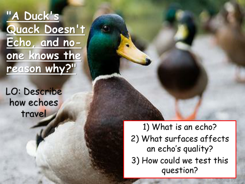Echoes: Does a Duck's Quack Echo?