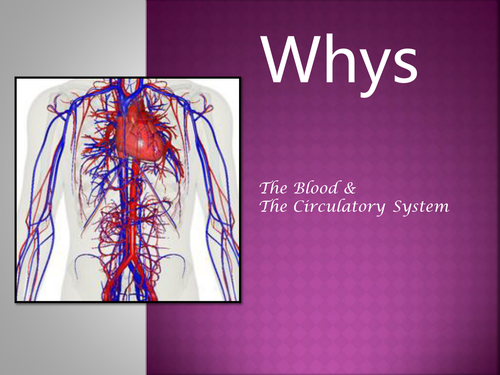 Whys in the Circulatory  System