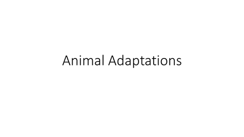 Biology: Animal adaptation