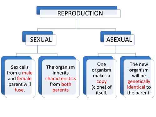 Igcsegcsestandard Grade Asexual Sexual And Plant Reproduction 1554