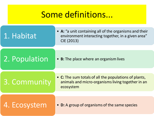 IGCSE/GCSE/Standard Grade Energy Flow and The Carbon Cycle PowerPoint