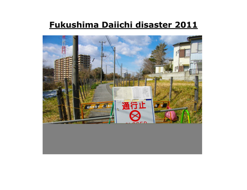 Fukushima disaster information
