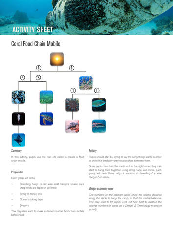 Coral Live! 2015 Primary Science Lessons