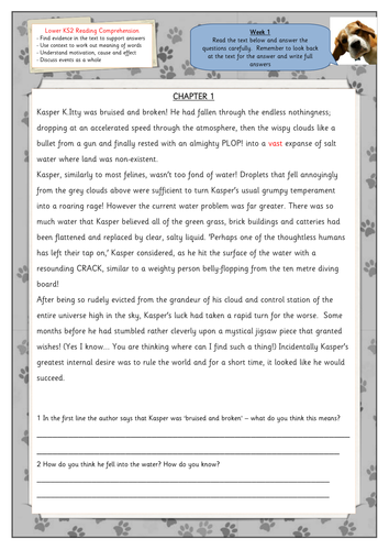 Reading comprehension - lower KS2 NEW CURRICULUM