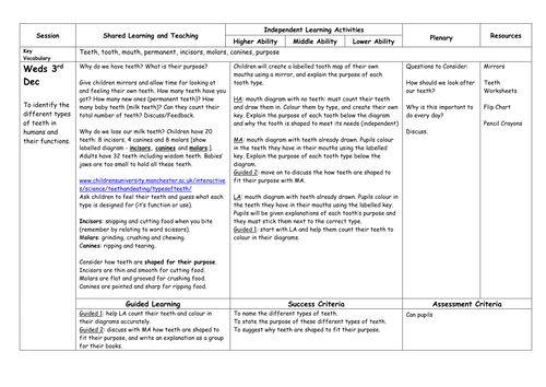Year 4 Science: Digestion and Teeth