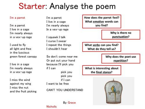 Zoos: Sanctuary or Prison? (Persuasive Writing)