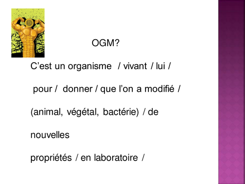 Les OGMs presentation