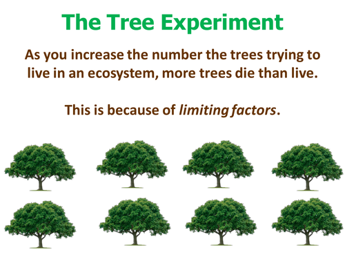 Science: Ecosystems