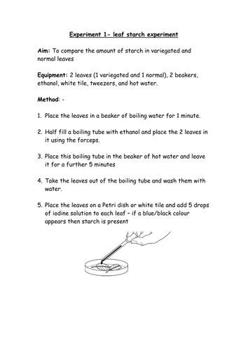 Photosynthesis practicals AQA B2