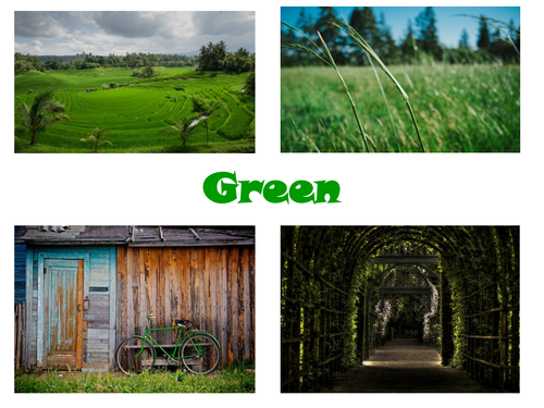 30 Green Theme Photos Presentation. Also Perfect Display Materials
