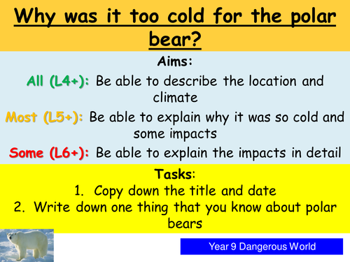 Why was it too cold for the polar bear?