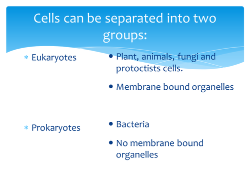 Eukaryote vs Prokaryote WJEC BY1
