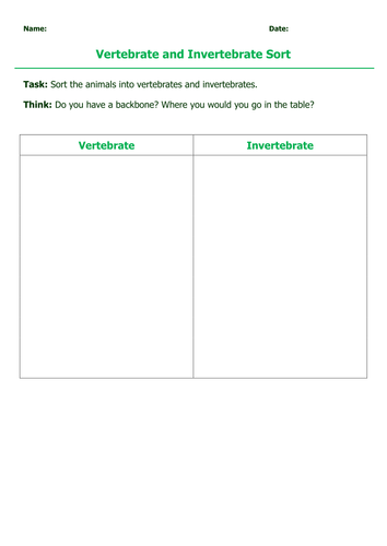 Invertebrates and Vertebrates by PurpleCatEd - Teaching Resources - TES