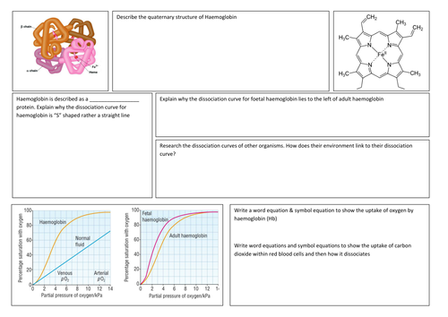 Haemoglobin + Dissociation poster