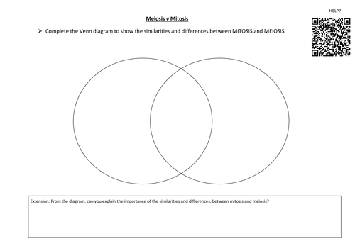 Mitosis v Meiosis