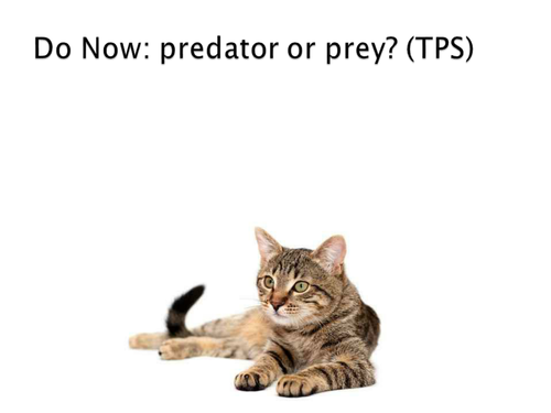 Predator or prey top trumps