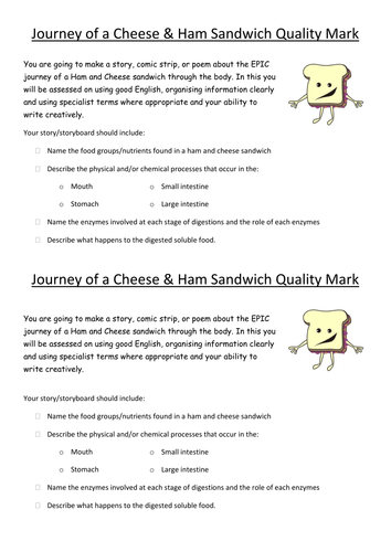 a journey of a cheese sandwich