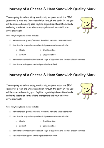 Journey of a Sandwich Digestion Quality Mark Assessment (TASK ONLY)