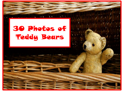 30 Teddy Bear Photos PowerPoint Presentation