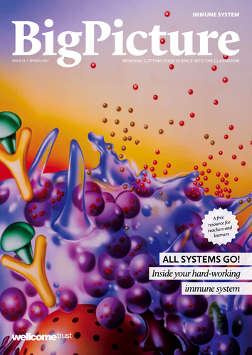 Big Picture: Immune System issue