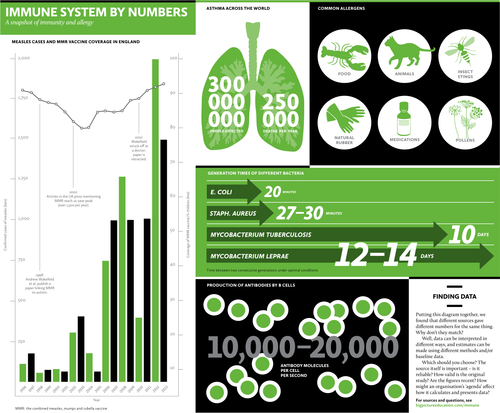 Big Picture: Immune System Infographic 