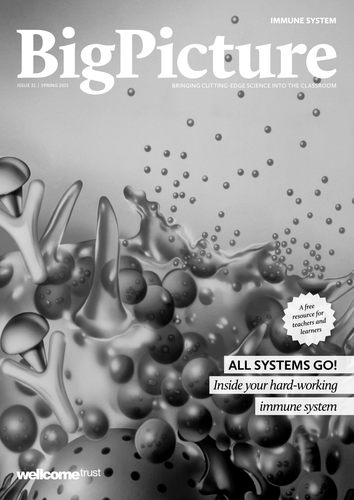 Big Picture: Immune System issue (black and white)
