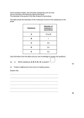 Kidneys | Teaching Resources