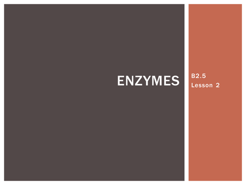 AQA B2.5 Enzymes Teaching Resources