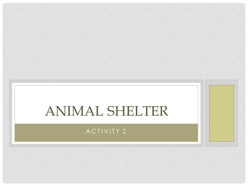 Animal Shelter CAB Activity 2 Guide