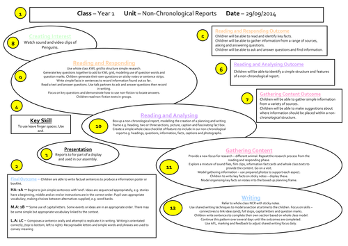 Non chronological report about animals picture