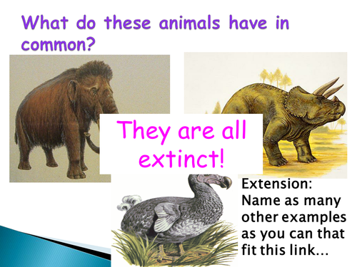 B2 Additional Biology SOW - Speciation | Teaching Resources